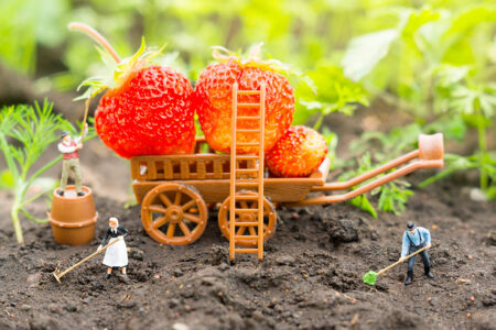 Miniatures agricoles