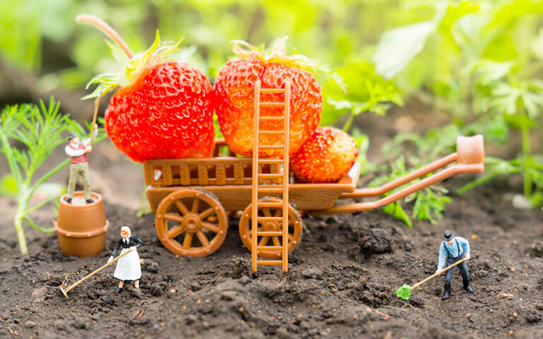 Miniatures agricoles